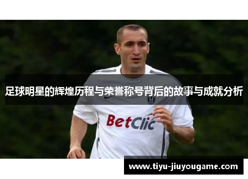 足球明星的辉煌历程与荣誉称号背后的故事与成就分析
